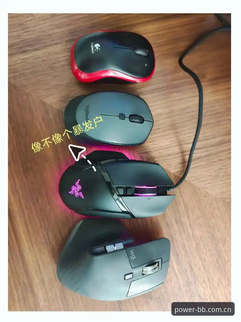 平台体育最新升级版V3到底值不值得升？我用一周实测告诉你答案